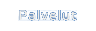 Palvelut