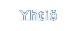Yhtiö